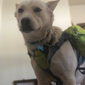 Meet your Posher, Brooke